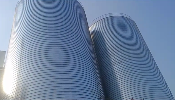 普陀2座混凝土高架卷板仓